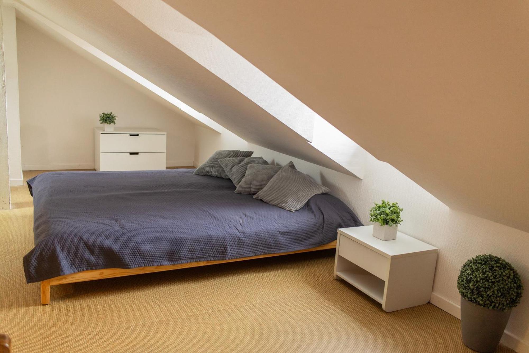 City Center Duplex Loft Colmar Exteriér fotografie